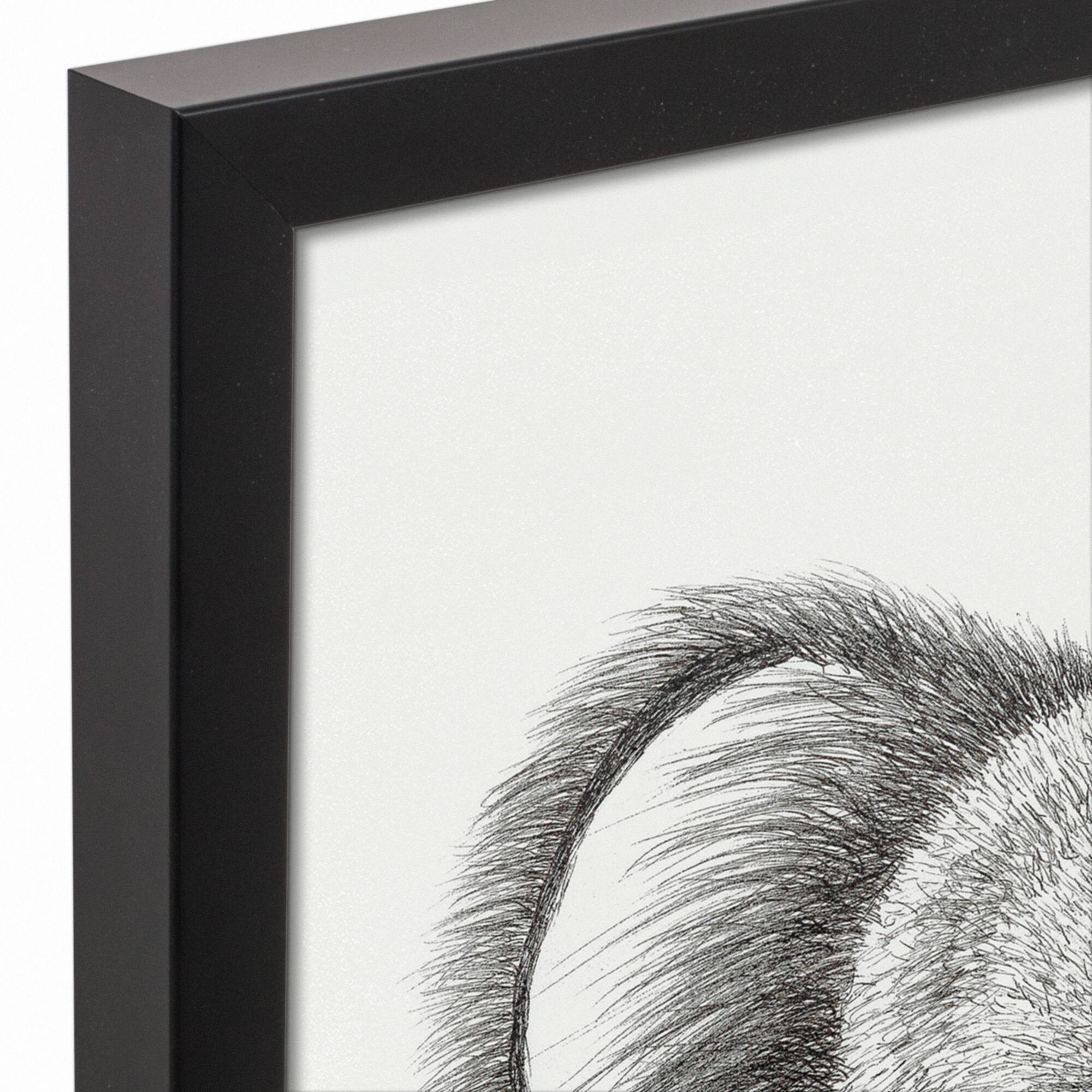 Pacifier Koala 16" x 16" Black Framed Canvas